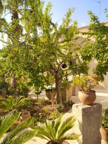 Hostal Giardino Frannicola