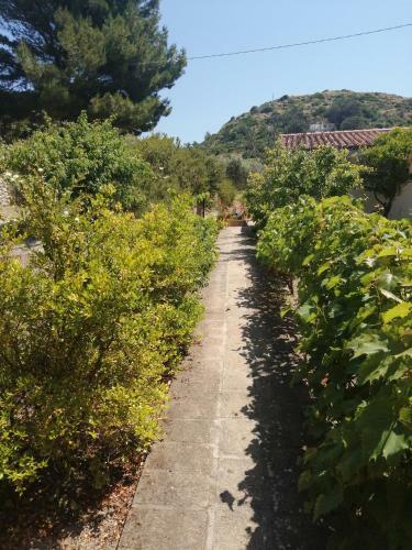 Apartamento Monolocale Zona Mare Pisturri