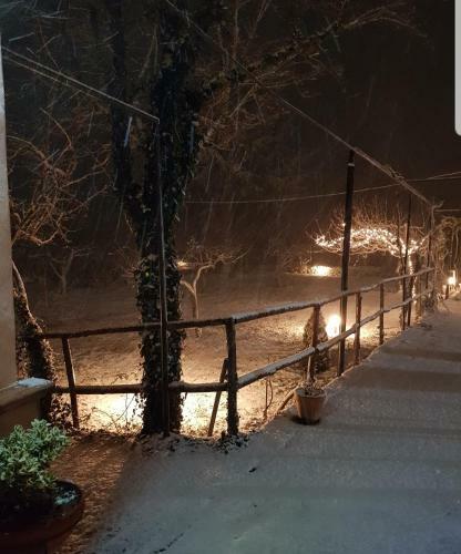 Etna, Salvia E Rosmarino