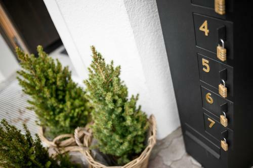 Agroturismo Calva B&B Apartments