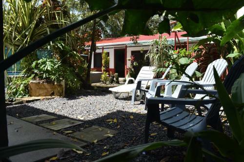 Hotel La Casona De Tortuguero