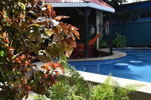 Hotel La Casona De Tortuguero