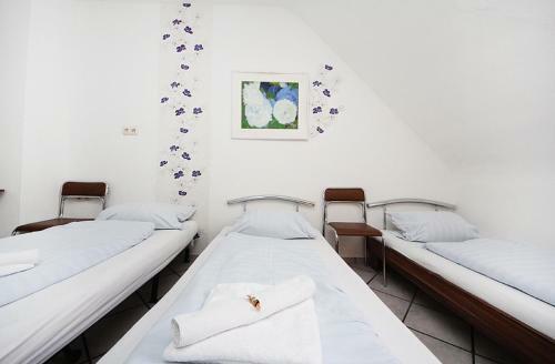 Hostal City Pension Storch II