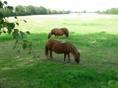 Bed & Breakfast Gregersminde