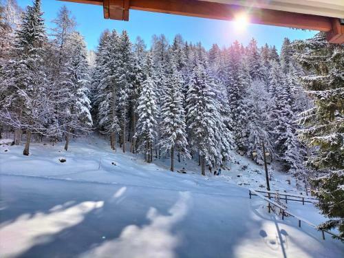 Apartamento Appartamento Campiglio 2