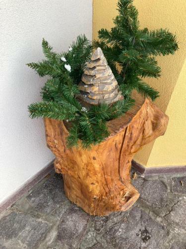 Apartamento Adamello Brenta Sunshine