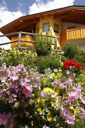 Apartamento Adamello Brenta Sunshine