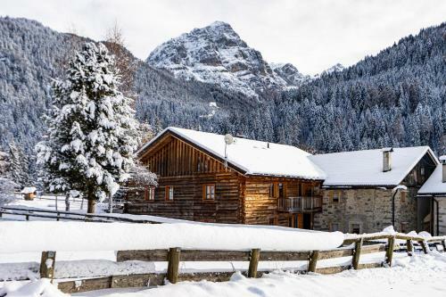 Apartamento Nido Del Brenta
