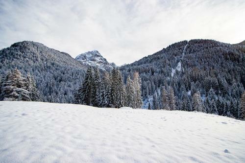 Apartamento Nido Del Brenta