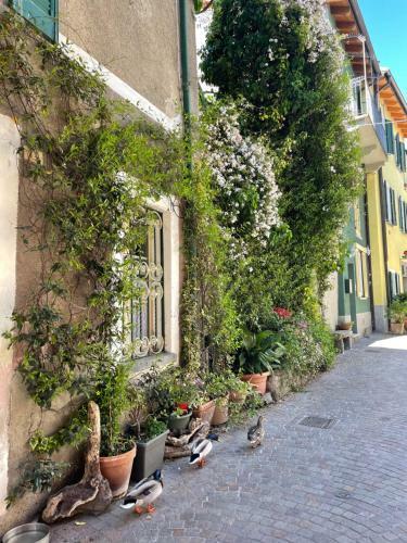 Apartamento La Casa Nei Vicoli: In Centro A Due Passi Dal Lago