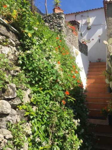 Apartamento Lemon Garden House