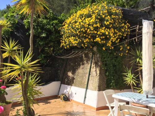 Apartamento Lemon Garden House