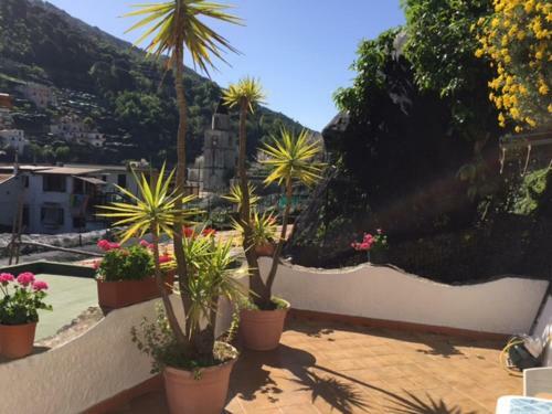 Apartamento Lemon Garden House