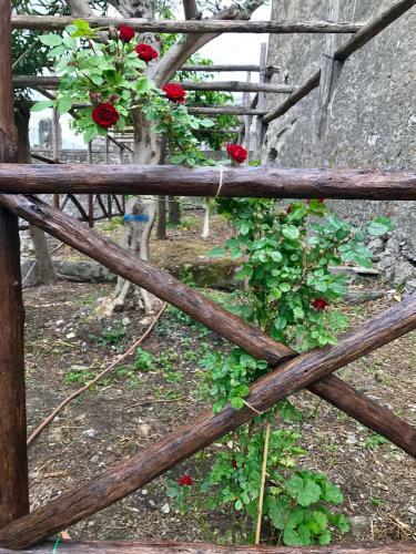 Due Porte