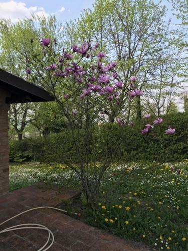 Hostal La Furbera B&B