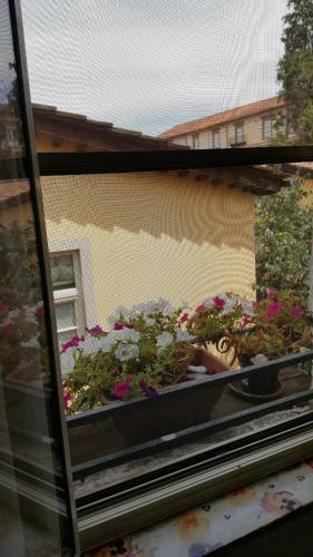 Hostal Mavi's Bedrooms