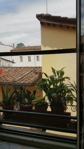 Hostal Mavi's Bedrooms