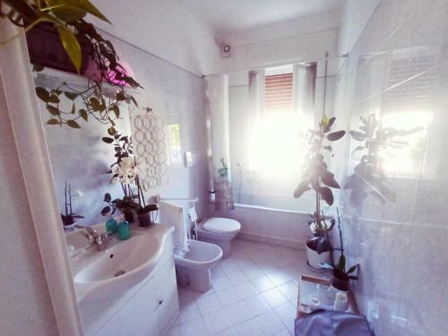 Hostal Luce
