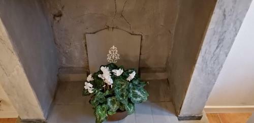 Apartamento Appartamento Rustico Lucca Stazione