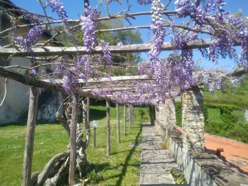 Apartamento Il Silenzio