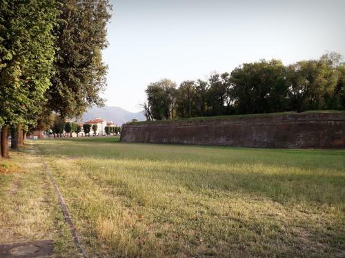 Hostal Home Sweet Home Affittacamere - Lucca