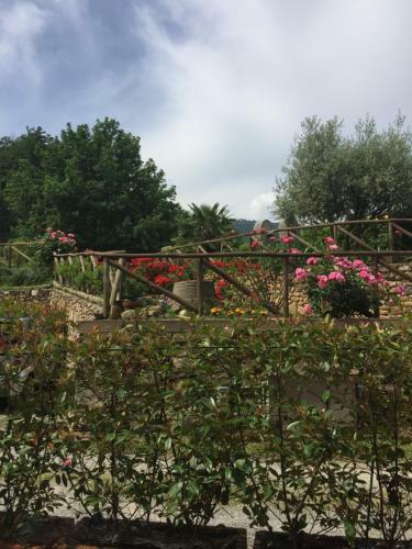 Apartamento Il Frantoio - A