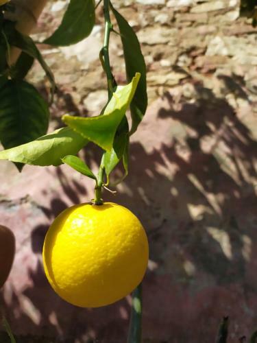 Agroturismo Casa Gaia