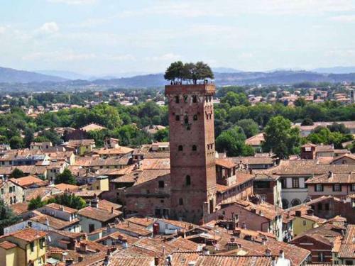 Apartamento Residenza Pardini - Free Parking & Smart Tv