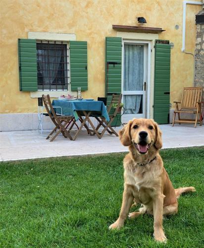 Agroturismo A Casa Di Hugo
