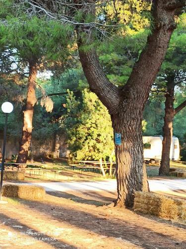 Villaggio Camping Tiziana