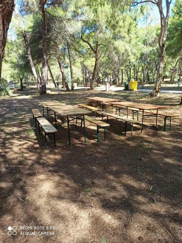 Villaggio Camping Tiziana