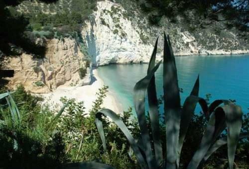 Apartamento La Culla Sul Mare
