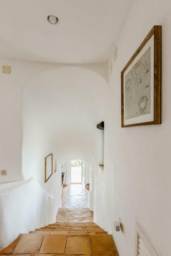 Villa Carmelina - Cersuta Di Maratea