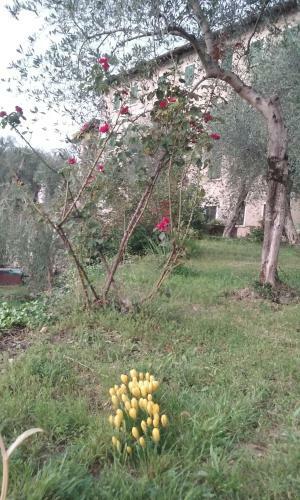 B&B Villa Candoras