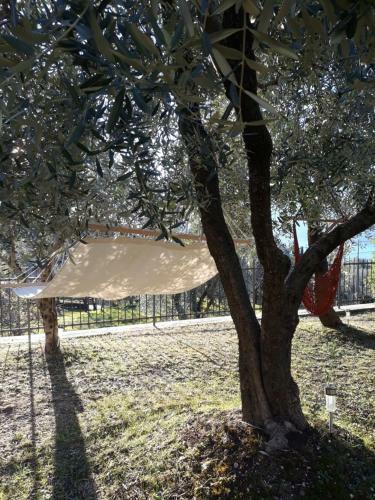 Apartamento Bilocale Rocchetta