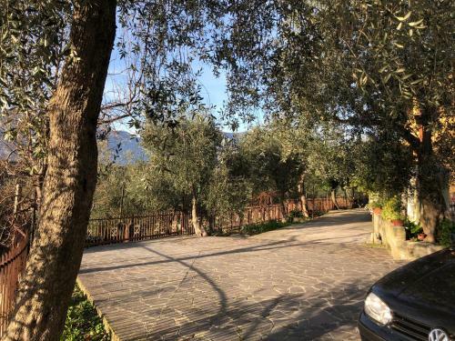 Apartamento Appartamento Nonna Rosa