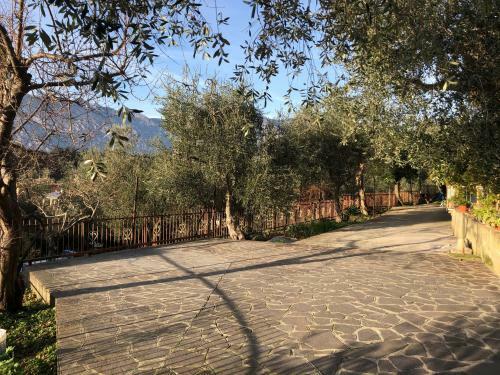 Apartamento Appartamento Nonna Rosa