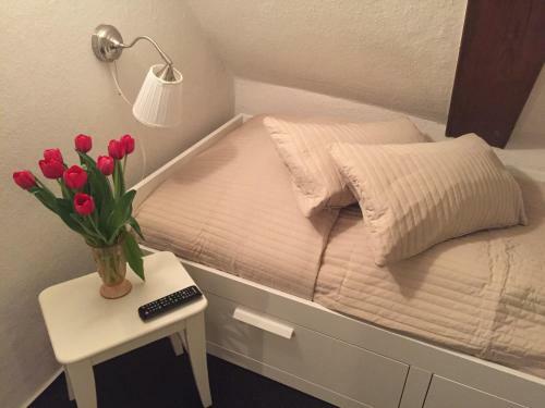 Hostal Pension Karina Schwerin