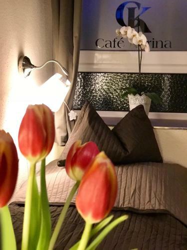 Hostal Pension Karina Schwerin