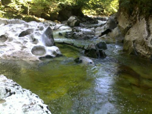 Apartamento Burgi Kefer