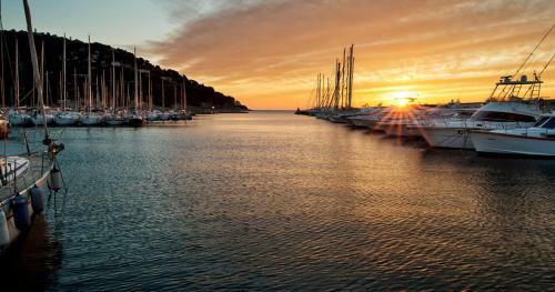 Yacht Night - Uso Esclusivo