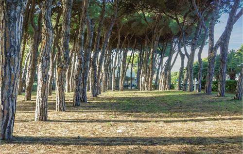Beautiful Home In Marina Di Carrara With 2 Bedrooms