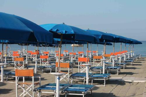 Apartamento La Conchiglia A Marina