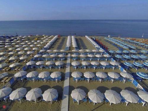 Apartamento La Conchiglia A Marina