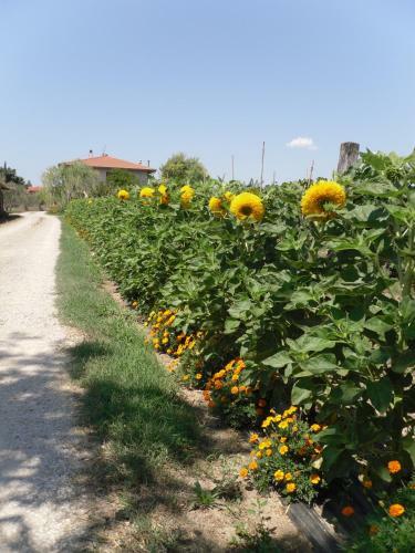 Apartamento Agriturismo San Rocco