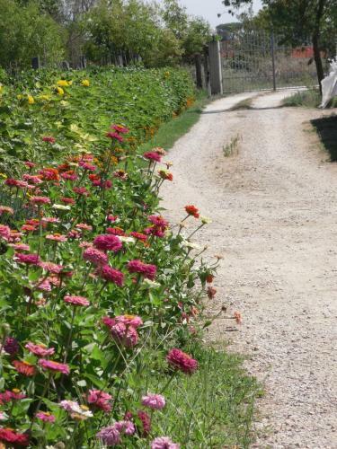Apartamento Agriturismo San Rocco