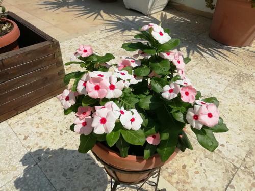 Apartamento Villa Lucia