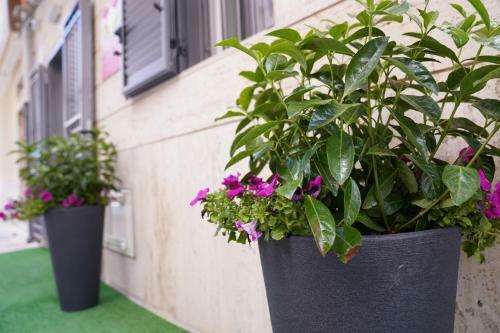 Apartamento Natola's Home