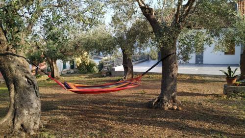 Apartamento Appartamenti La Chiandata