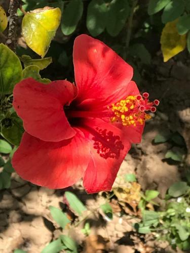 B&B Garzia